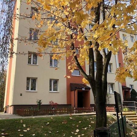 Apartament Krakowska บอชเนีย ภายนอก รูปภาพ
